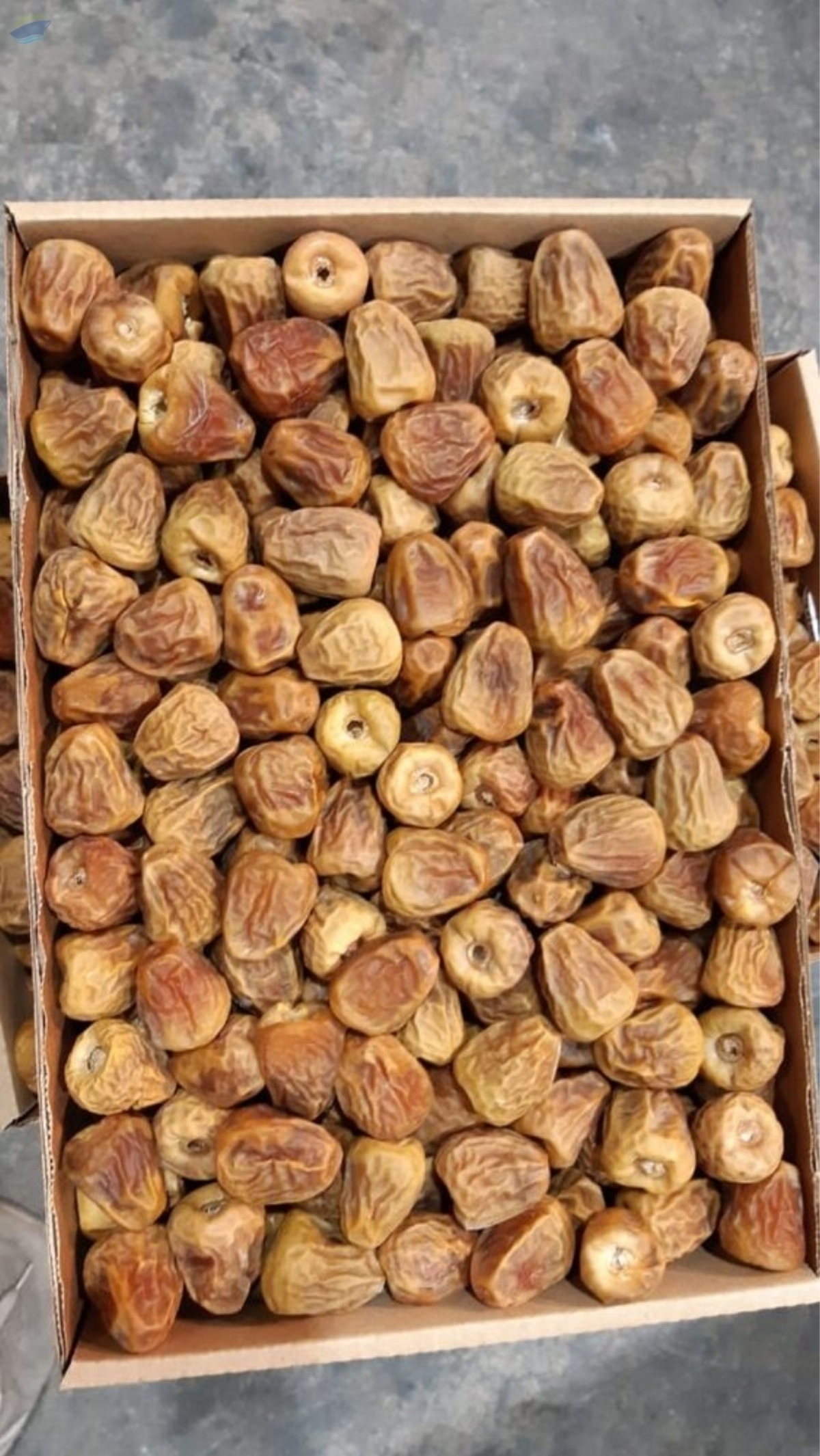 resources of Sukkari Mufatl Dates exporters