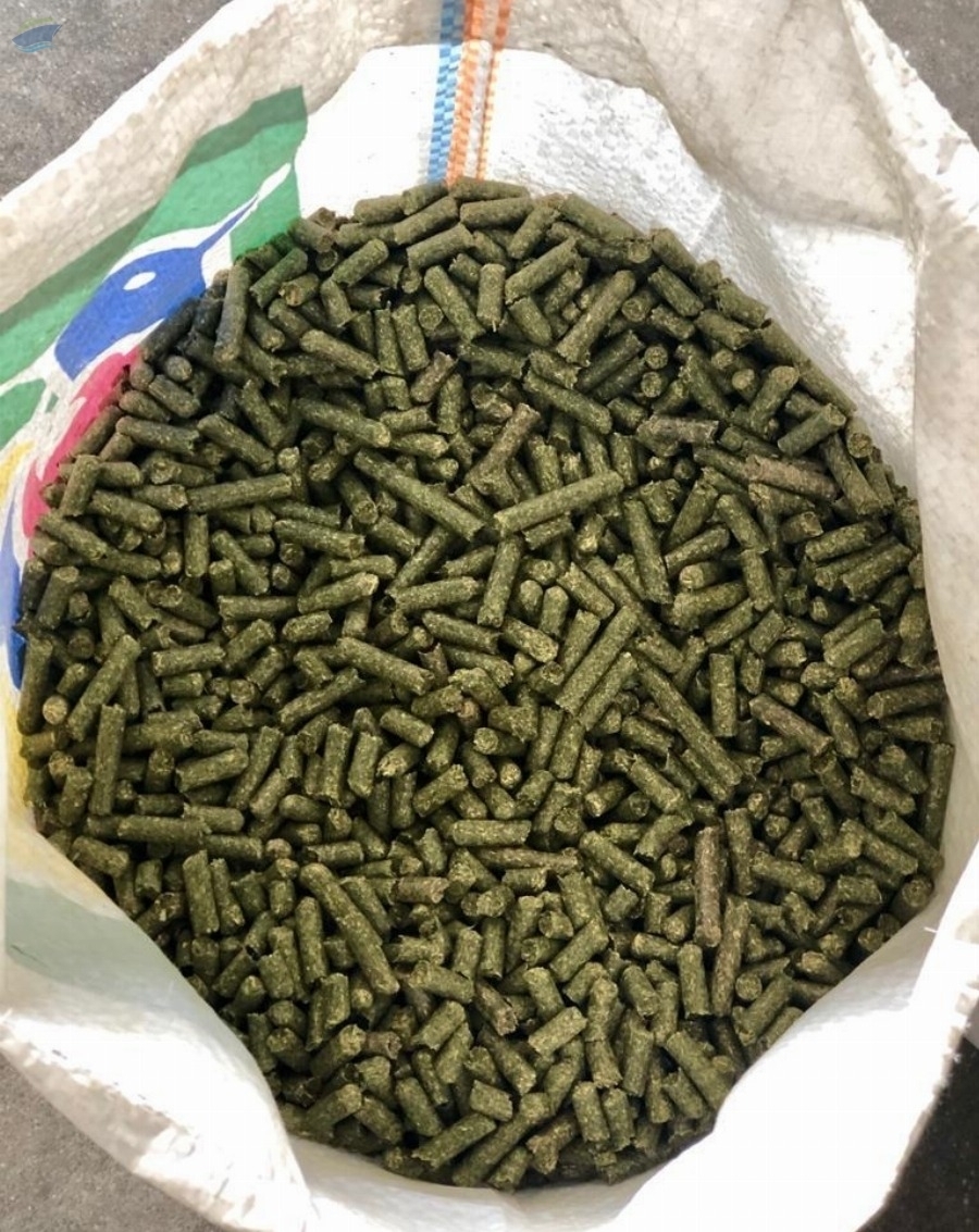 resources of High Quality Alfalfa Pellets exporters