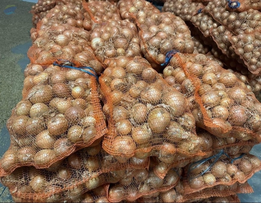 resources of Onion exporters
