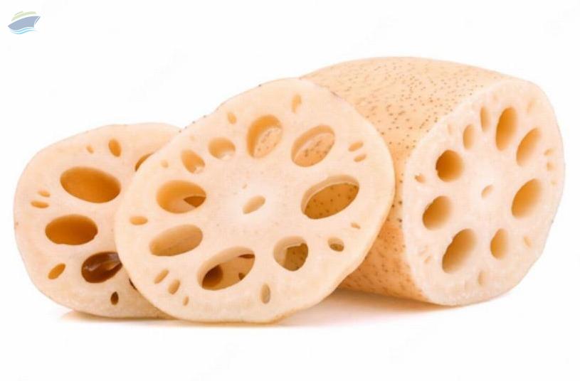 resources of Lotus Root (Rak Bua) exporters