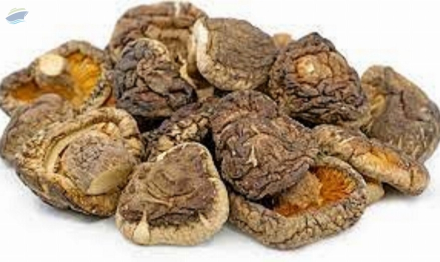 resources of Dried Whole Shiitake Mushroom exporters