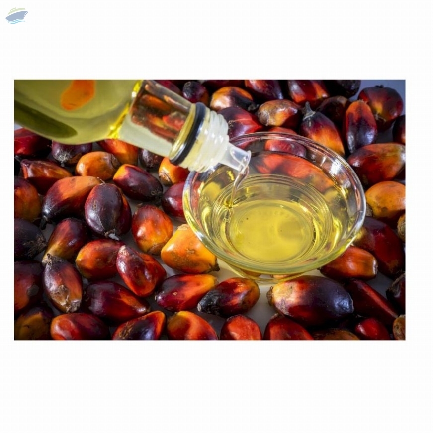 resources of RBD Palm olein cp8 cp10 for sae exporters