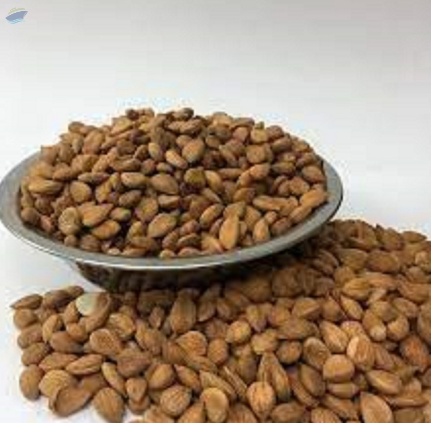 resources of Apricot Kernels exporters