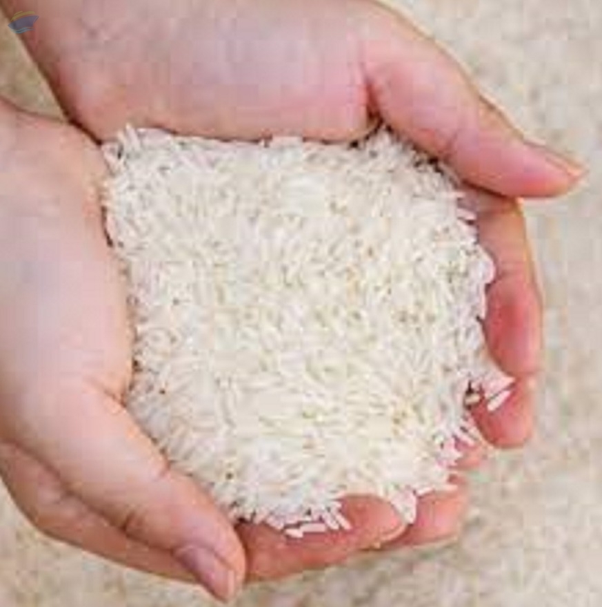 resources of Fragrant Rice exporters