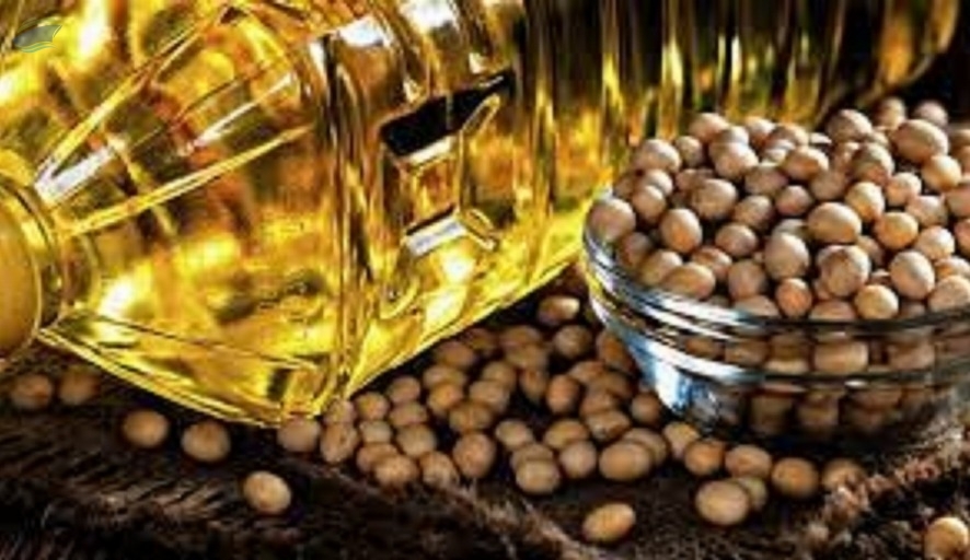 resources of Crude Degummed Soybean Oil exporters