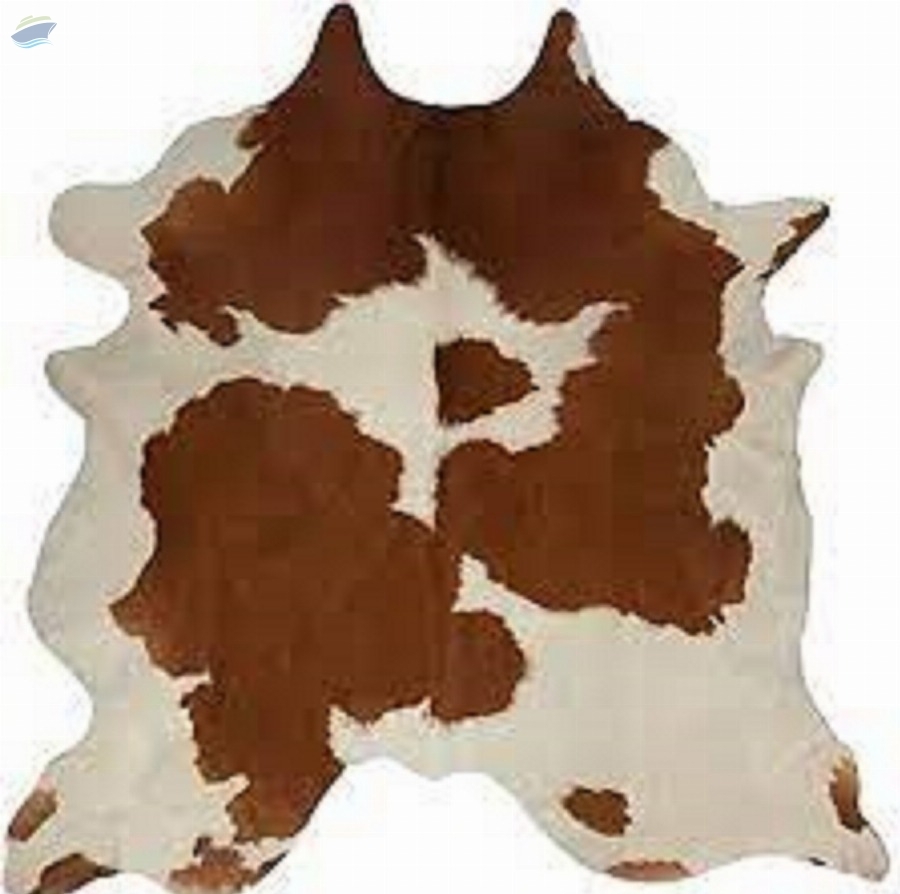 resources of cow hides exporters