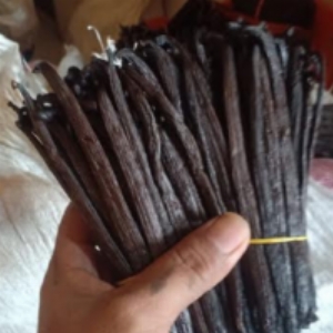 resources of Vanilla Beans exporters