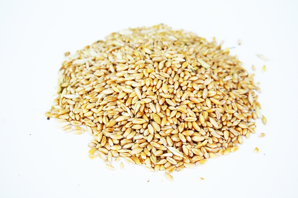 resources of Durum Wheat exporters