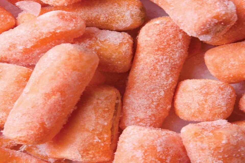 resources of Carrot exporters