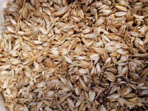 resources of Spelt Husk exporters