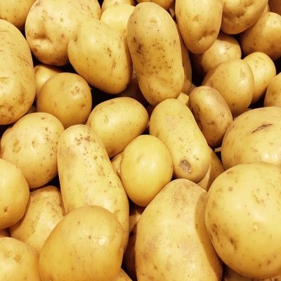 resources of Potatoes exporters