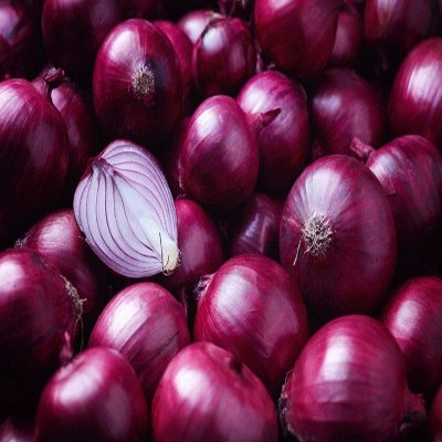 resources of Onions exporters