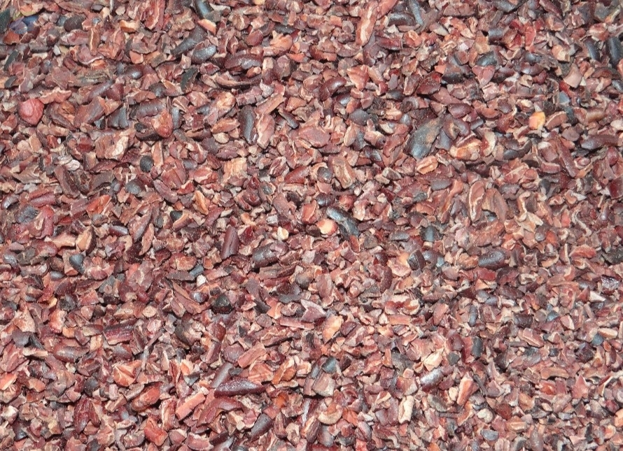 resources of Cocoa Nibs exporters