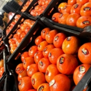 resources of Mandarine exporters