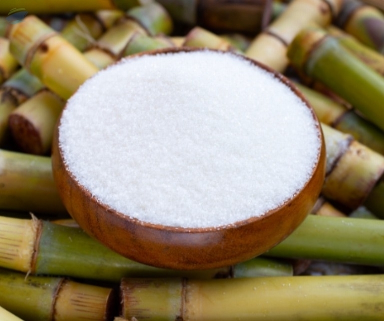 resources of Refined Sugar Icumsa 45 exporters