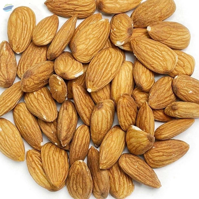 resources of Almond Nuts exporters