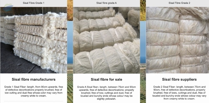 resources of Sisal Fiber Grade Ug/ Sisal Fiber Ug Grade exporters