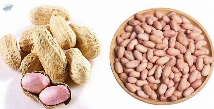 resources of Peanut - Wholesale Africa Peanut / Groundnuts exporters