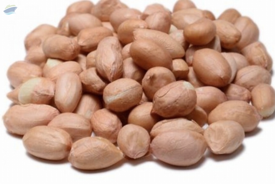 resources of Red Skin Peanuts 1kg 2kg 5kg Bulk Nuts exporters