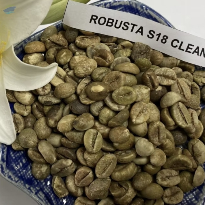 resources of Arabica And Robusta Green Coffee Beans exporters