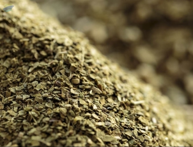 resources of Yerba exporters