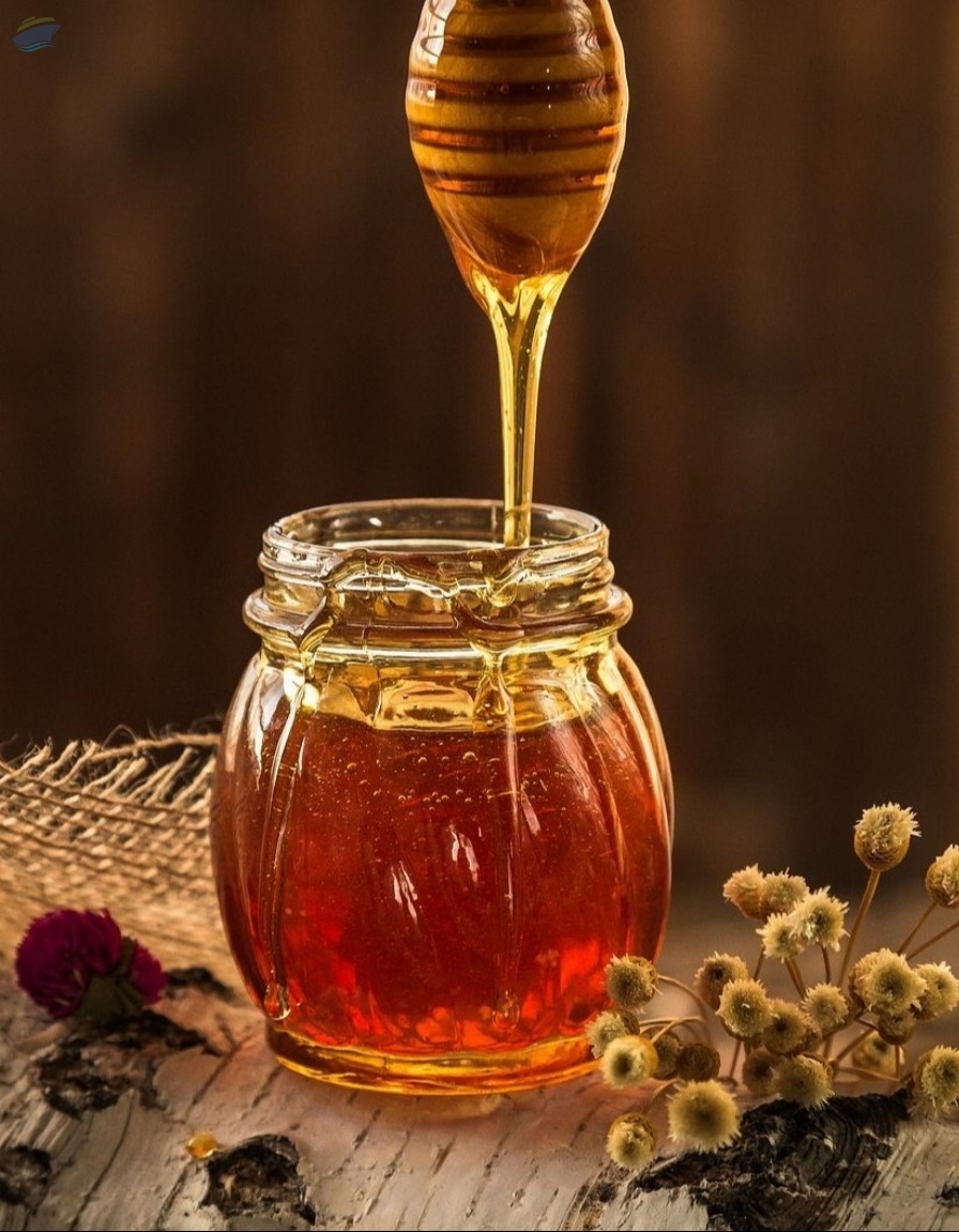 resources of Panama Premium Pure and Raw Honey exporters