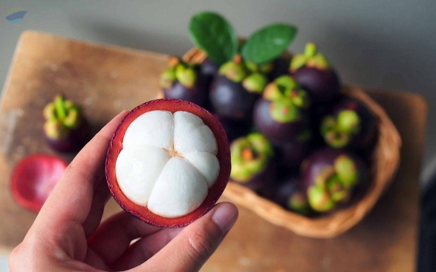 resources of Exotic Fruits exporters