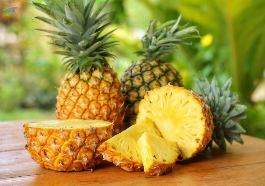 resources of MD2 Pineapple / Gold Extra Sweet exporters