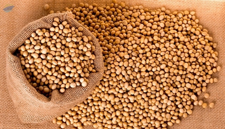 resources of Soybean exporters