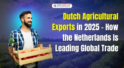 Dutch Agricultural Exports in 2025 – How the Netherlands Is Leading Global Trade