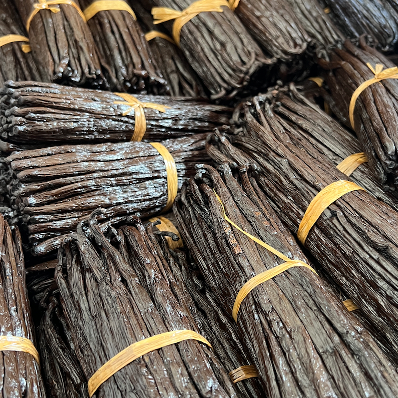 resources of Bourbon vanilla pods grade A (gourmet) exporters
