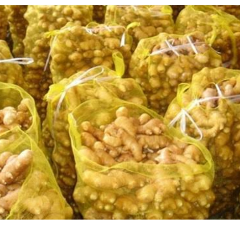 resources of GINGER exporters