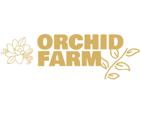 Orchid farm