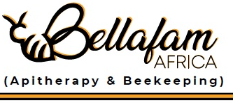 Bellafam Africa Limited